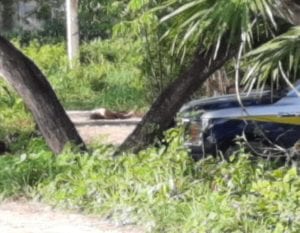 Feminicidio en Pedregal Cancún 1