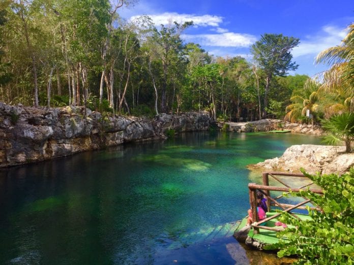 Cenotes Casa Tortuga