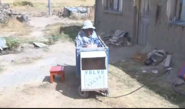 Abuelita en carrito de juguete