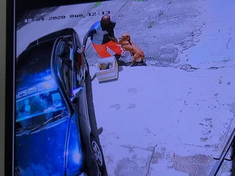 Perrita enferma se aferra a su dueño