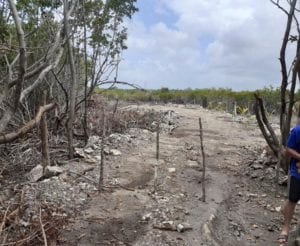 Talan Mangue en Mahahual 1