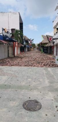 Remodelaci&oacute;n de la Quinta Avenida