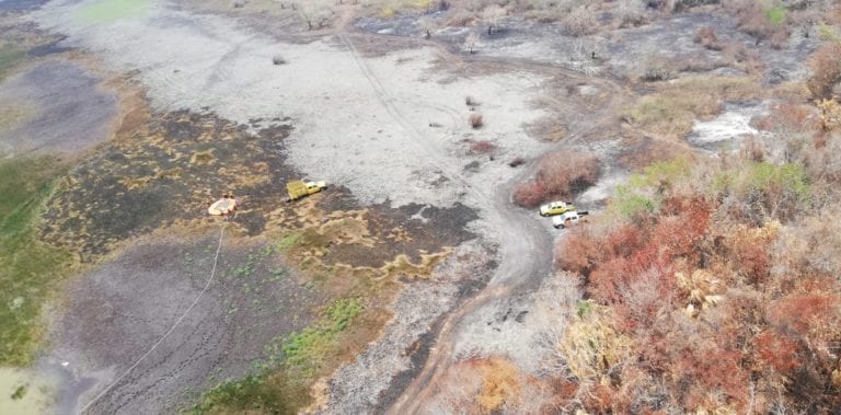 Incendio en Ichkabal ya acabó con 2 mil 900 hectáreas