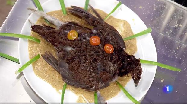 Video: Escandaliza platillo de pájaro muerto con plumas en ‘MasterChef’