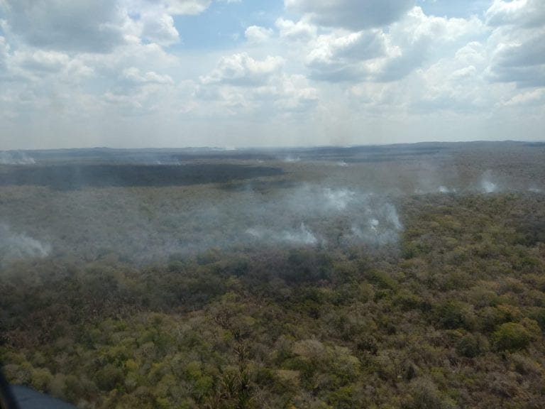 Incendios forestales arrasan con 8 mil 664 hectáreas en Quintana Roo