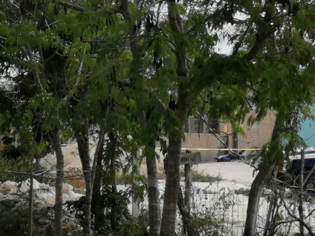 Un nuevo ejecutado en INHouse