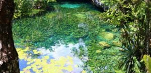 Cenotes en Quintana Roo