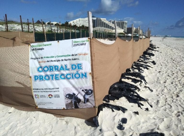 Gran Solaris Cancún