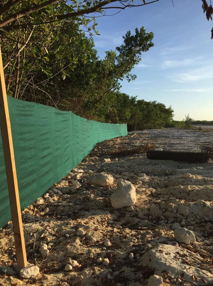 Violan cuarentena obras de hoteles en Quintana Roo señalados de "ecocidas"