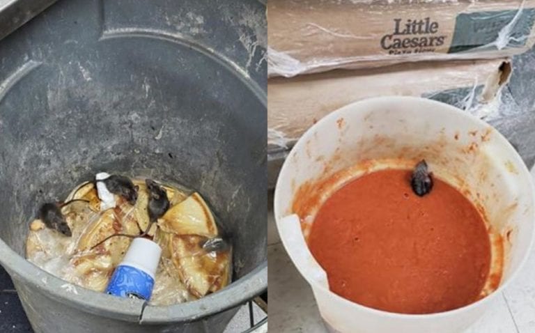 Supuesto ex empleado de Little Caesars revela fotos de ratas en la comida