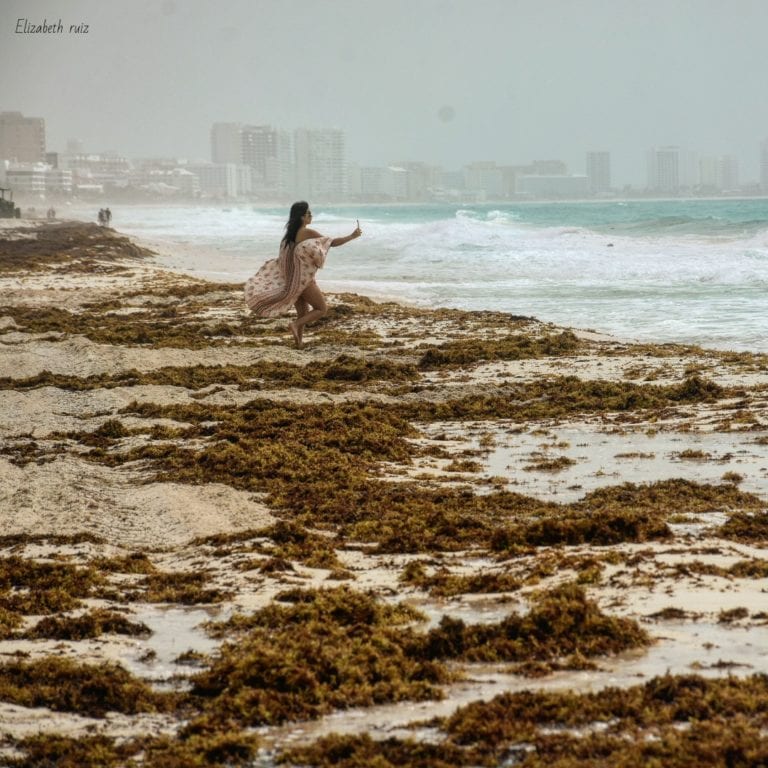 Ante sargazo, científicos proponen reforma legal por primera vez en México