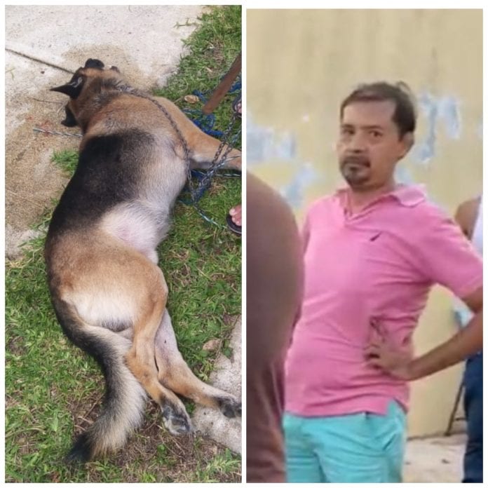 Omar H. L., asesinó a un perro de su vecino, sin piedad.