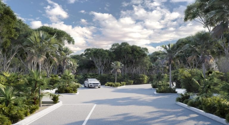 Taema Puerto Aventuras