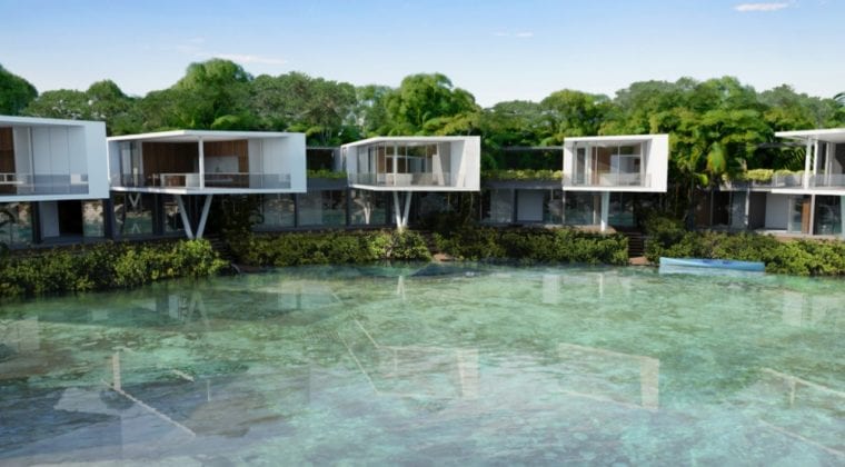 Taema Puerto Aventuras