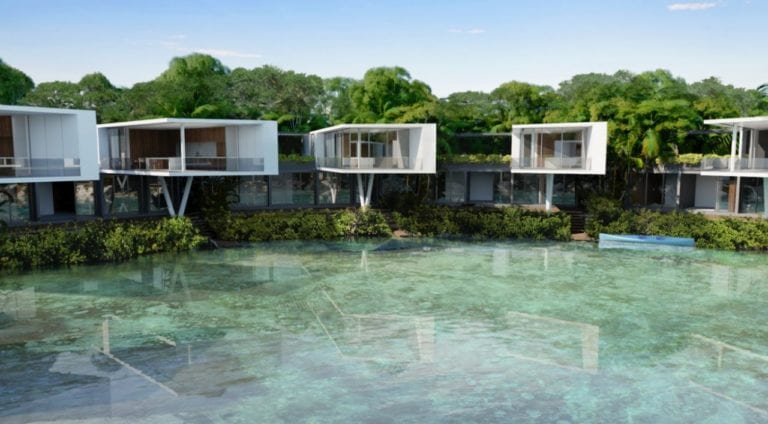 Taema Puerto Aventuras