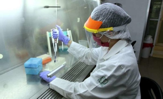 Desarrolla IMSS vacuna contra COVID-19