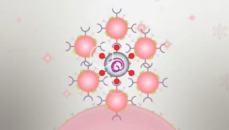 Crean ‘nanoesponjas’ que impiden al coronavirus reproducirse en el organismo