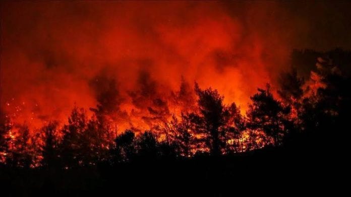 Incendios en Amazonía