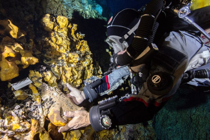 Descubren dos especies animales nuevas y recuperan el sinsacro de un perezoso terrestre gigante en Hoyo Negro, Quintana Roo. Foto: Archivo INAH-SAS, 2019. ROBERTO CHÁVEZ ARCE.
