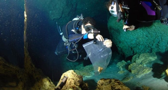 Preocupan a ambientalistas los posibles daños a los cenotes por el Tren Maya. Foto: Emiliano Monroy Ríos.