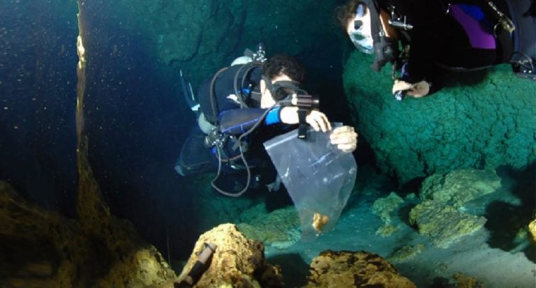Preocupan a ambientalistas los posibles daños a los cenotes por el Tren Maya. Foto: Emiliano Monroy Ríos.
