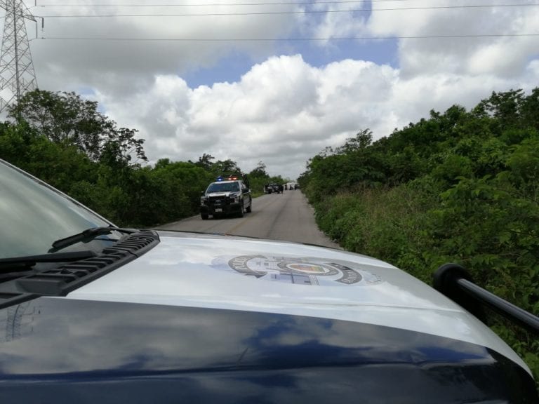 Fauna salvaje en Cancún se devora cuerpo de ejecutado por el narco