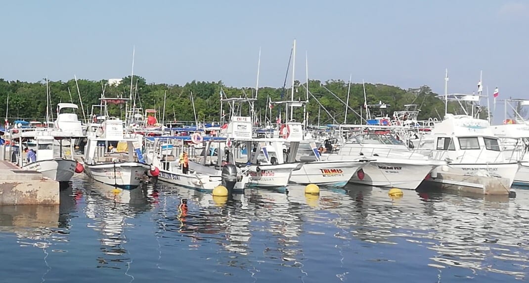 Náuticos de Cozumel no pueden salir a trabajar por deudas con la Apiqroo