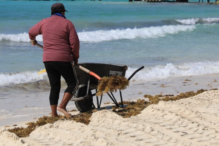Instalan 2.5 kilómetros de barrera antisargazo en Playa del Carmen