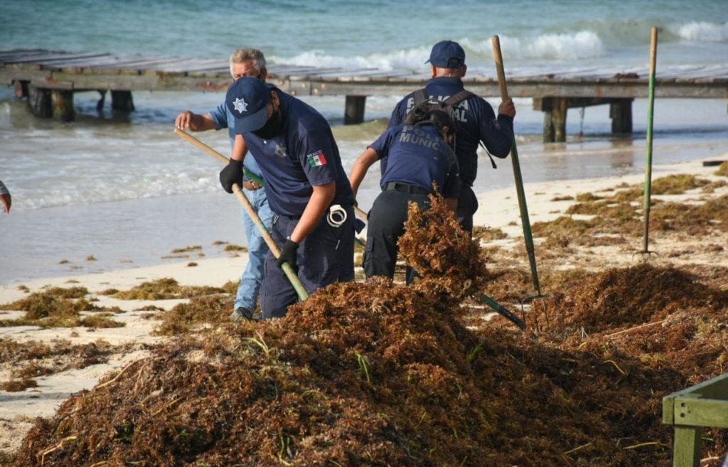 Destaca la labor de brigadas de trabajadores municipales, entre ellos elementos de la Secretaría municipal de Seguridad Pública y Tránsito