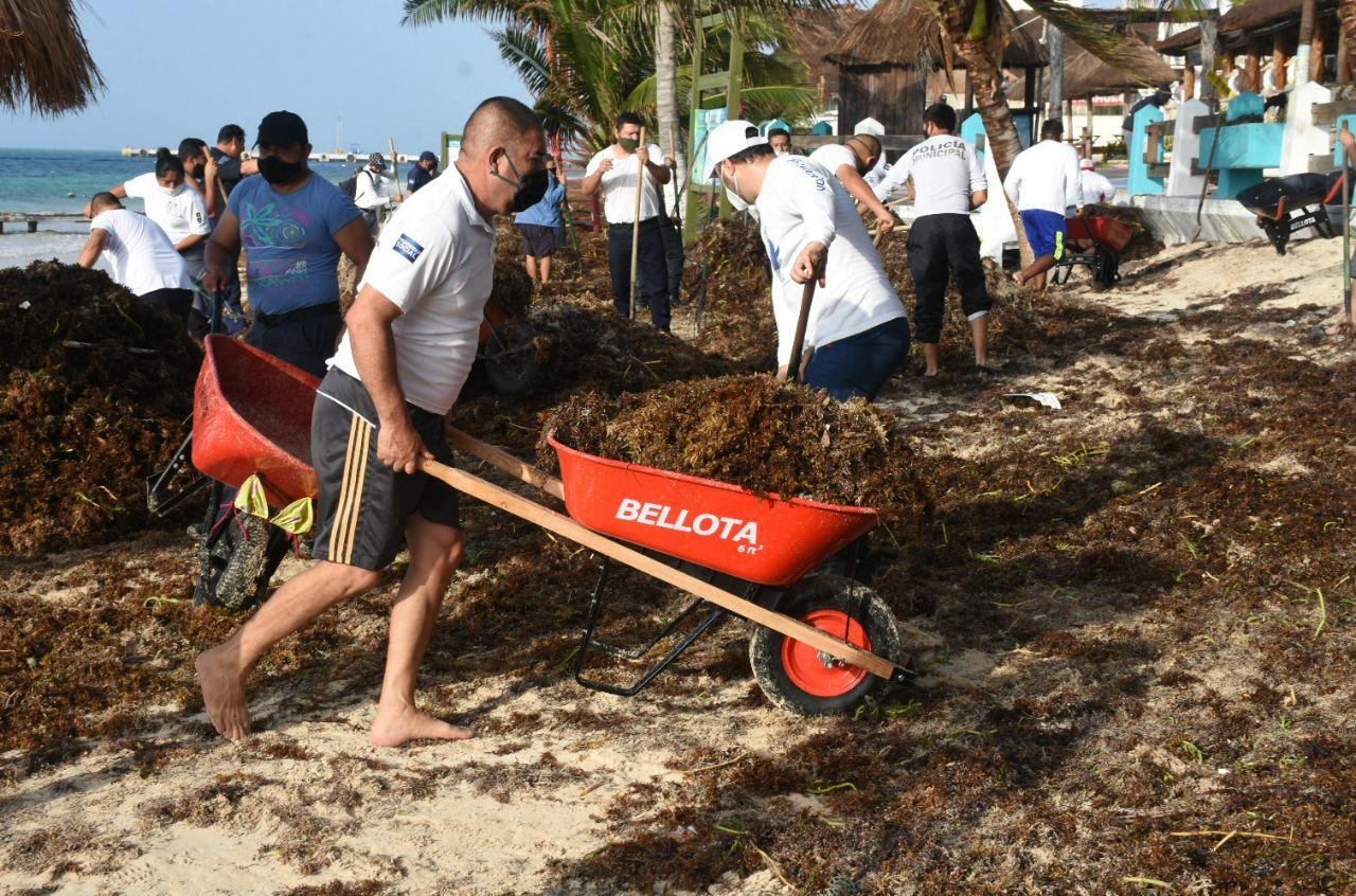 Con trabajo en equipo se retiran 200 toneladas de sargazo: Laura Fernández