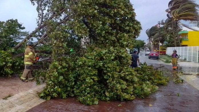 brigadostas Puerto Morelos