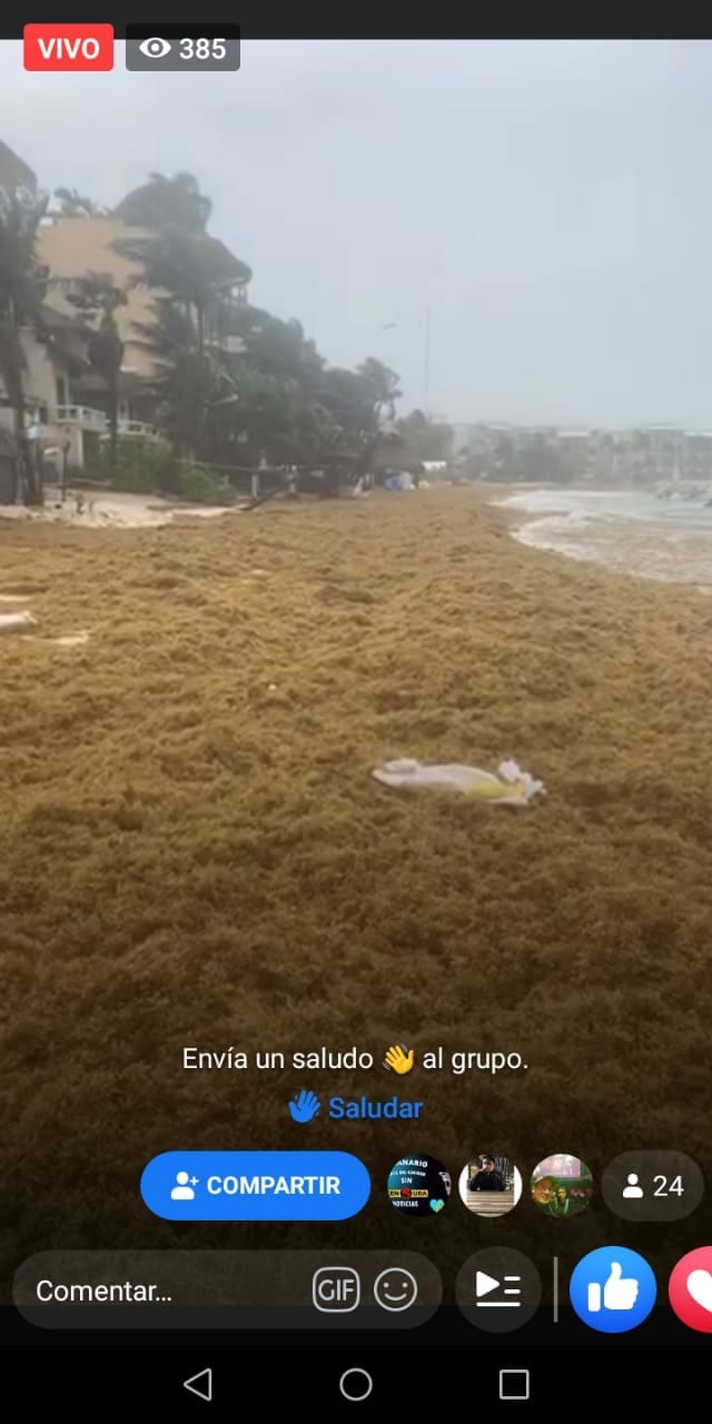 Hoy se vio más sargazo en Quintana Roo