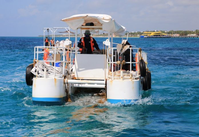 Recolectora de sargazo