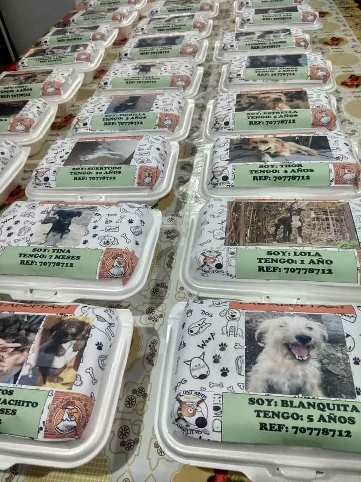 ¡Proponen pegar fotos de animales en adopción en empaques de comida a domicilio!