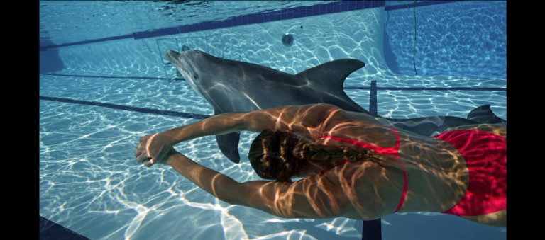 Video: ¡El futuro nos alcanzó! Ahora puedes nadar con un delfín robot