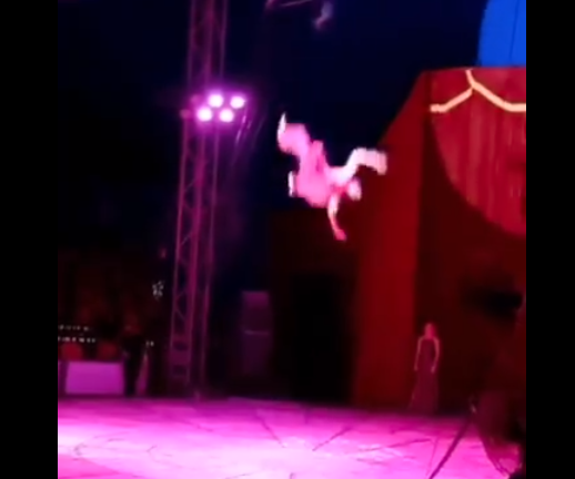 VIDEO: Captan momento exacto en que trapecista cae en Circo Atayde de Playa del Carmen