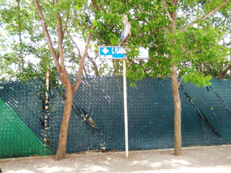 Emma & Elissa se roban calle que daría a la playa