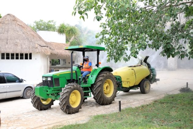Se limpia la zona arqueol&oacute;gica de Tulum para la llegada del turismo