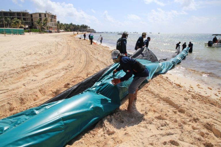 Galería: Tiene Solidaridad estrategia integral para playas limpias y libres de sargazo