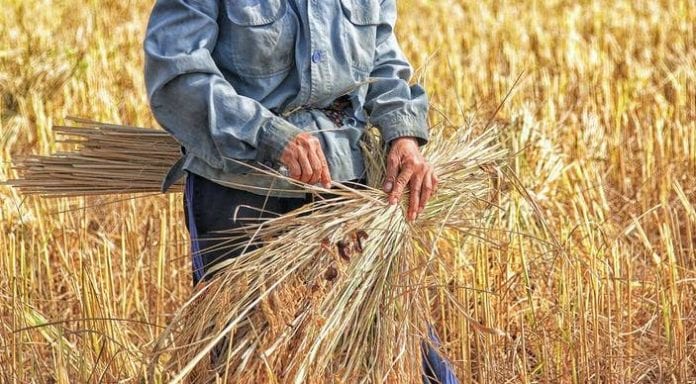 Empresarios mexicanos podrían demandar a compañías de EU