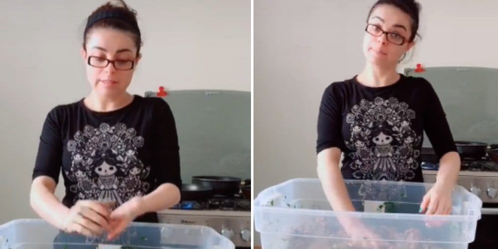 Violeta Isfel vende hamburguesas por el Covid-19