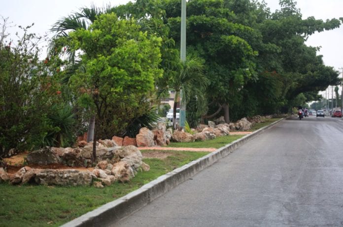 A pesar de la contingencia sanitaria por COVID-19, la Dirección General de Servicios Públicos ha mantenido el trabajo constante de sus áreas y prueba de ello es el embellecimiento de más de 5 kilómetros de la Avenida Leona Vicario, una de las vialidades más concurridas de la zona norte de la ciudad.