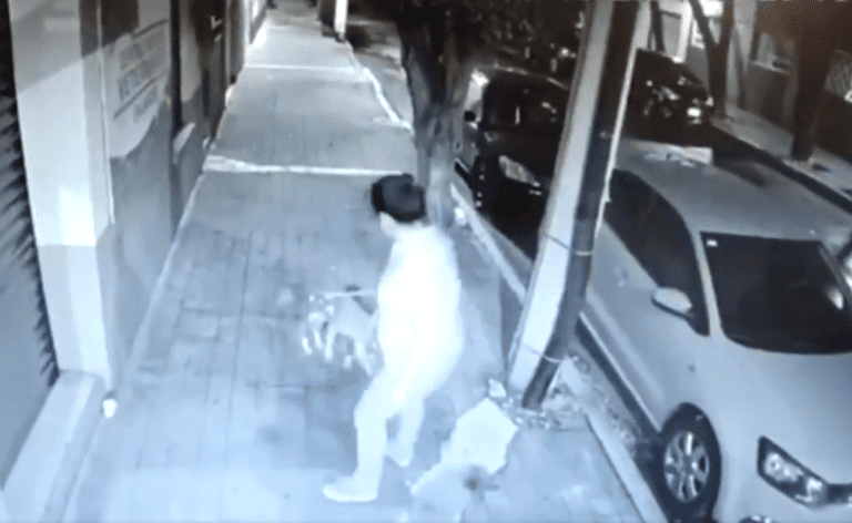 Video: Mujer da jalones y abandona a perritos en la Ciudad de México