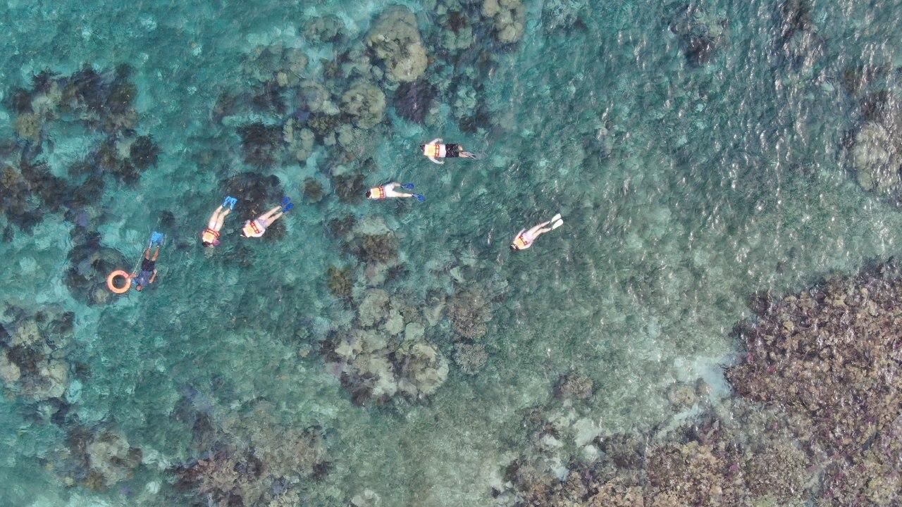 Puerto Morelos, destino turístico sustentable