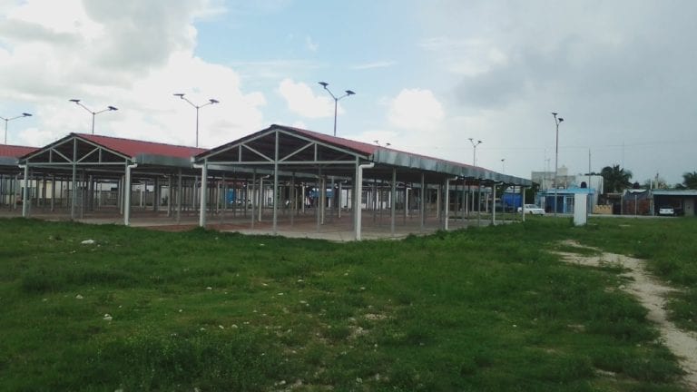 Locales de mercado “San Valentín” se entregarán por antigüedad: Amanda Degyves