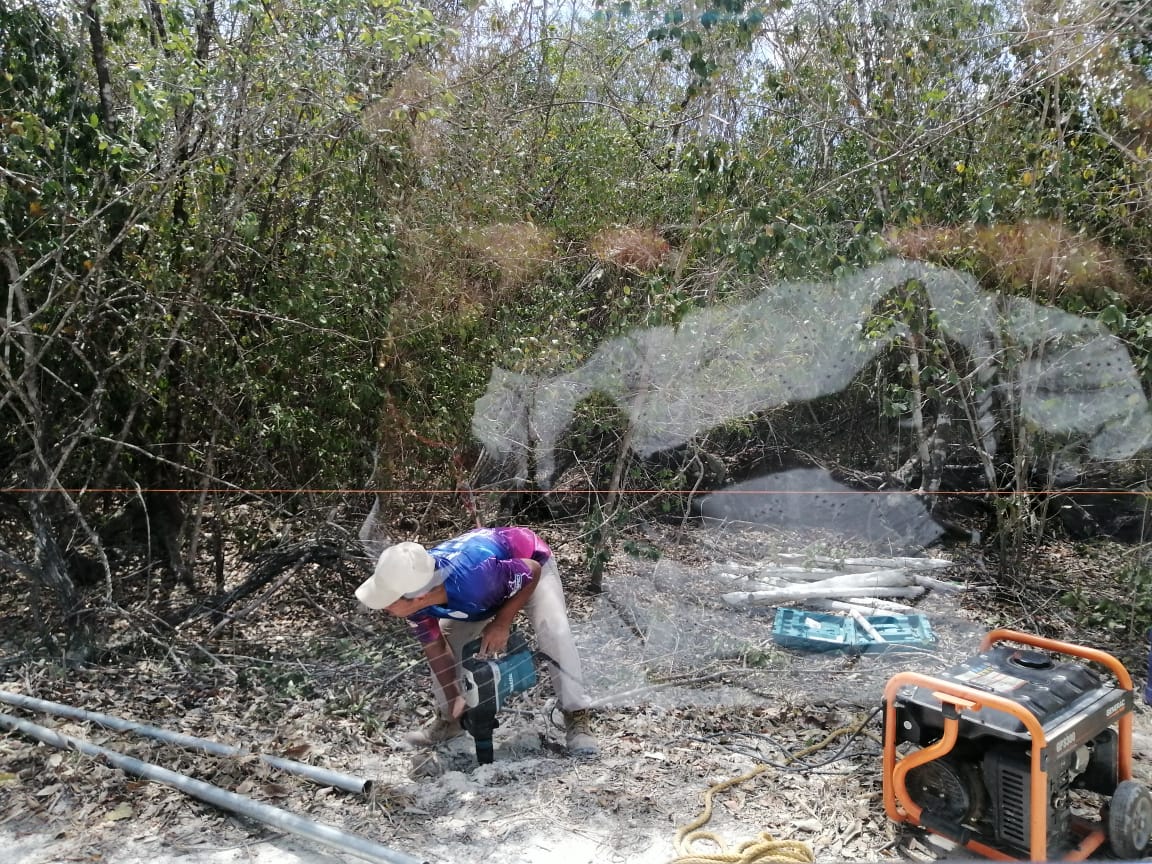 Denuncian a Greg Sánchez por dañar un predio en Cozumel