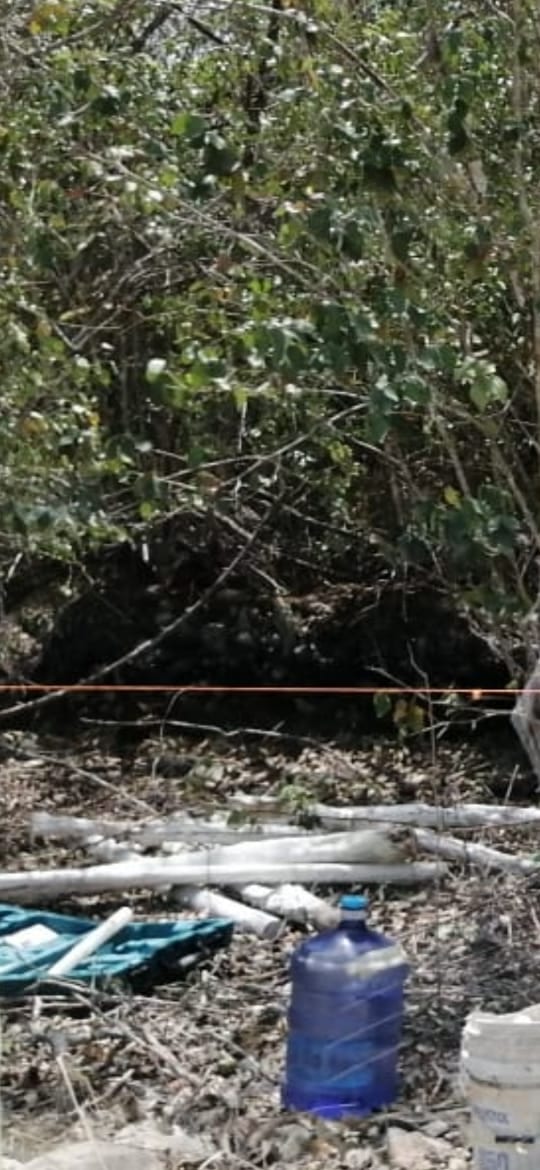 Denuncian penalmente a Greg Sánchez por daños en un terreno en Cozumel