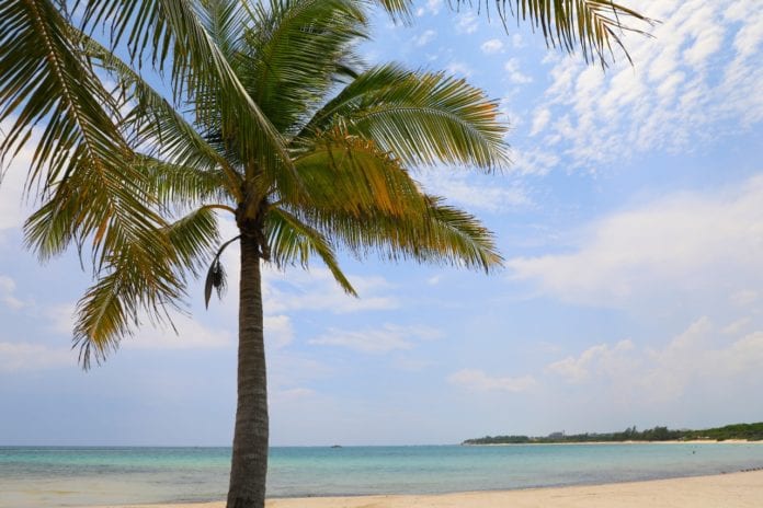 Playa del Carmen porta ahora la certificación global como destino turístico seguro “Safe Travels”, con lo que se brindará a los viajeros que arriban a sus magníficos escenarios. 