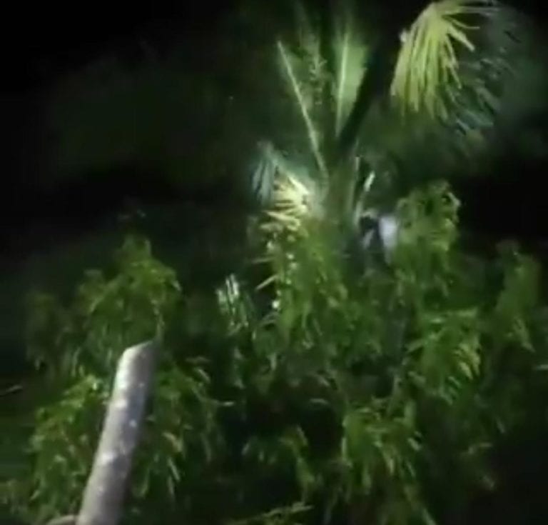 En Veracruz la gente salió a buscar a un "nahual"