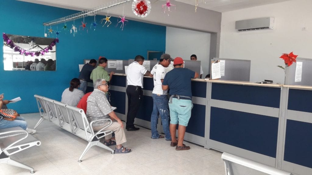 Detectan posible red de corrupción en la entrega de licencias de manejo y placas vehiculares.